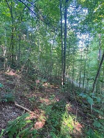6.9 Acres of Residential Land for Sale in Wilder, Tennessee