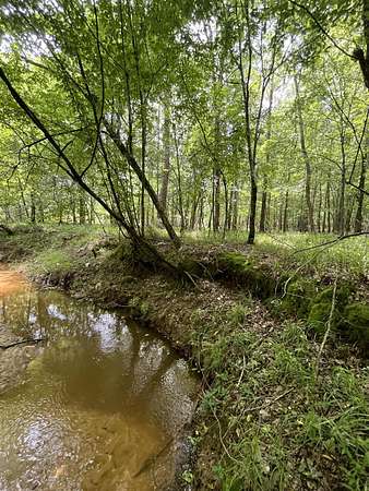 98 Acres of Recreational Land for Sale in Amory, Mississippi