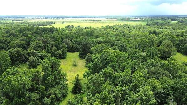 9.6 Acres of Land for Sale in Crockett, Texas