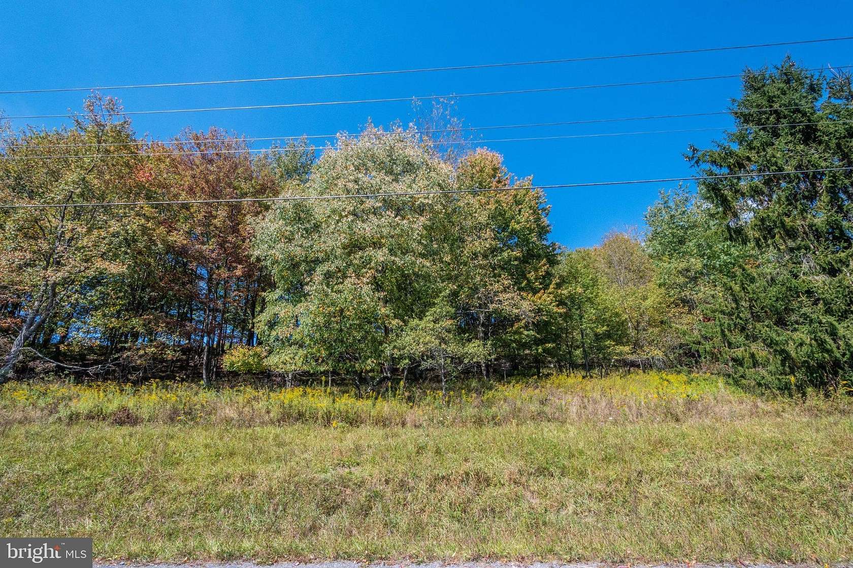 1.18 Acres of Residential Land for Sale in Swanton, Maryland