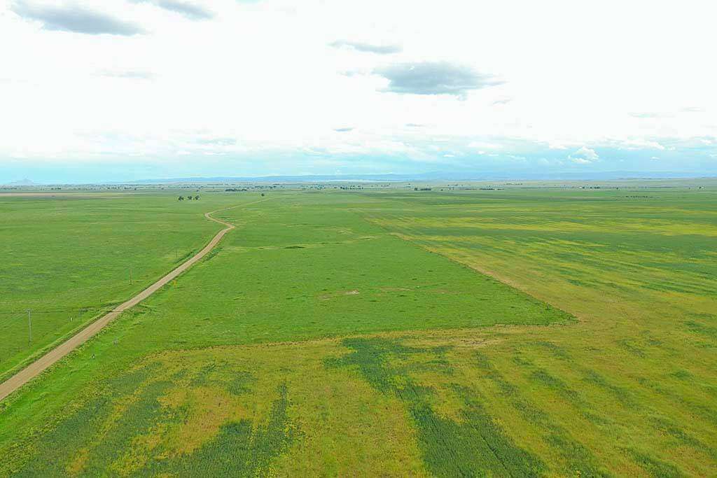 320 Acres of Agricultural Land for Sale in Nisland, South Dakota
