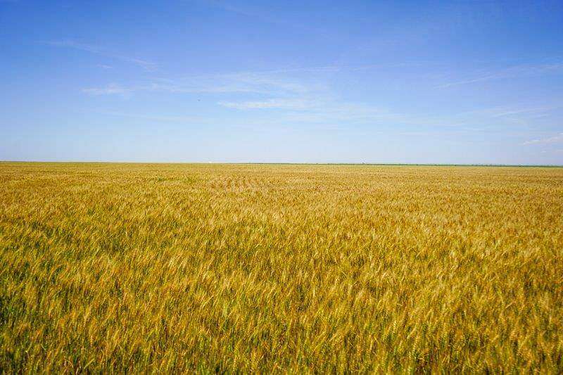 320 Acres of Agricultural Land for Sale in Lakin, Kansas