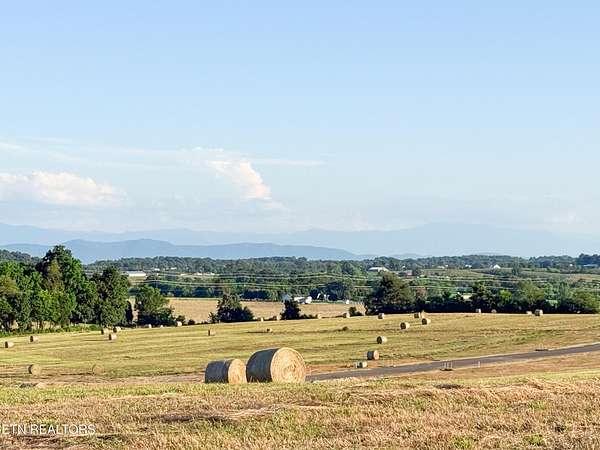 5 Acres of Residential Land for Sale in Talbott, Tennessee