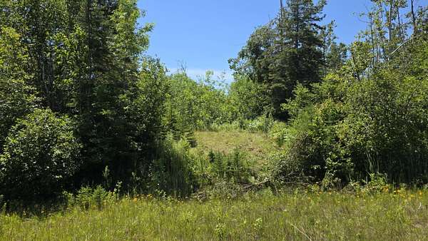 3 Acres of Land for Sale in Ocqueoc, Michigan