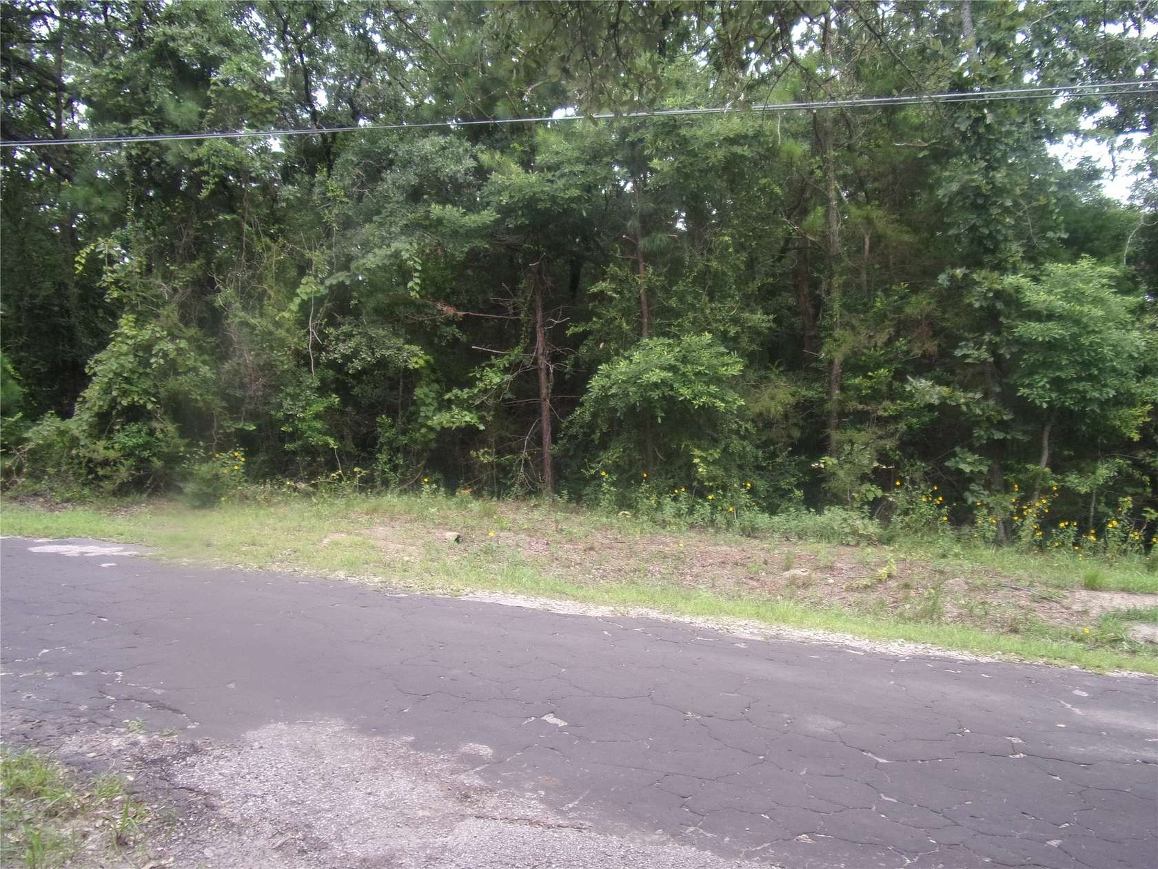 0.23 Acres of Residential Land for Sale in Murchison, Texas