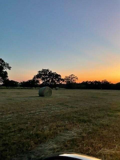 61.3 Acres of Land for Sale in Emory, Texas