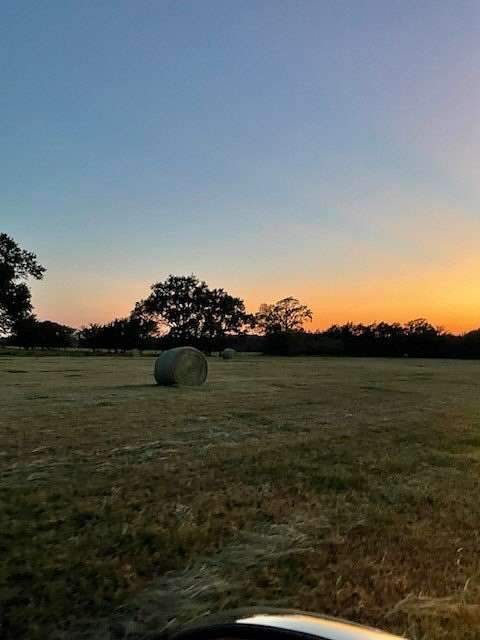 61.3 Acres of Land for Sale in Emory, Texas