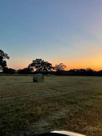 61.3 Acres of Land for Sale in Emory, Texas