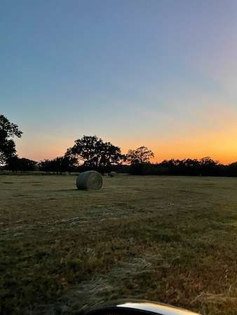 61.3 Acres of Land for Sale in Emory, Texas
