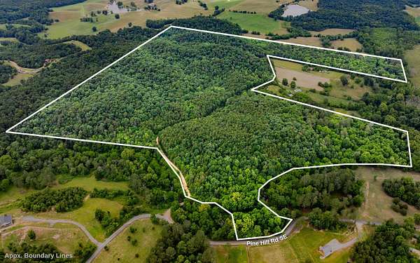 117 Acres of Land for Sale in Rydal, Georgia