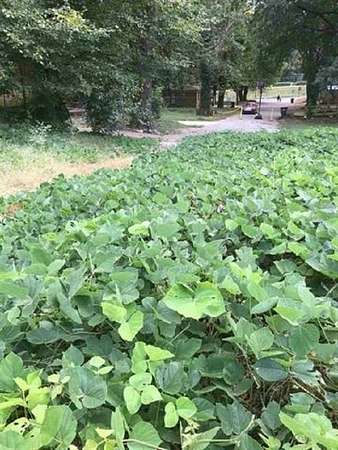 0.6 Acres of Residential Land for Sale in Memphis, Tennessee