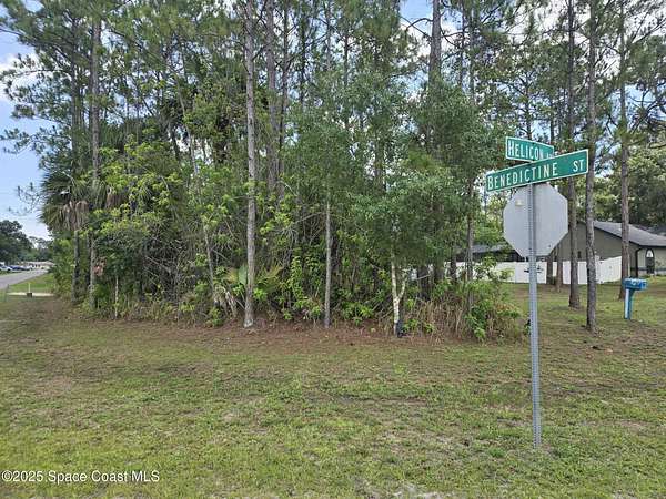 0.31 Acres of Land for Sale in Palm Bay, Florida