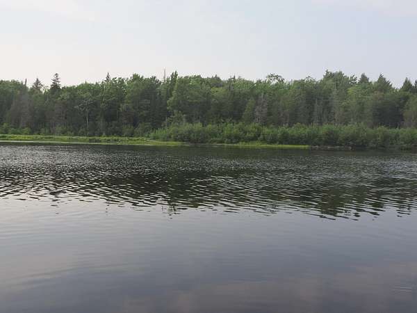 14 Acres of Recreational Land for Sale in Paradise, Michigan