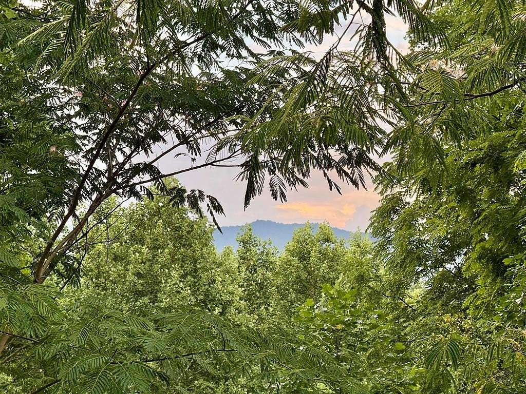 3.36 Acres of Residential Land for Sale in Franklin, North Carolina