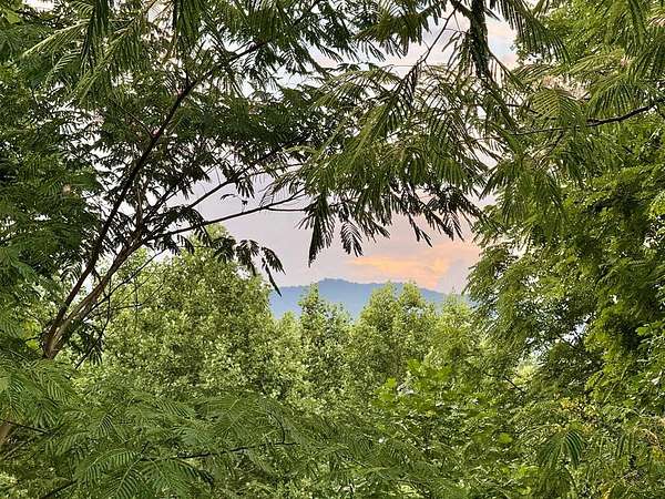 3.36 Acres of Residential Land for Sale in Franklin, North Carolina