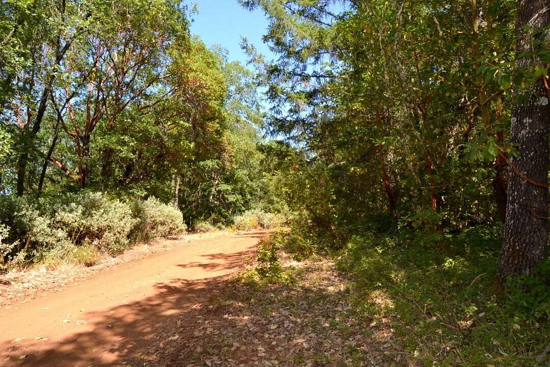 20.7 Acres of Land for Sale in Grants Pass, Oregon