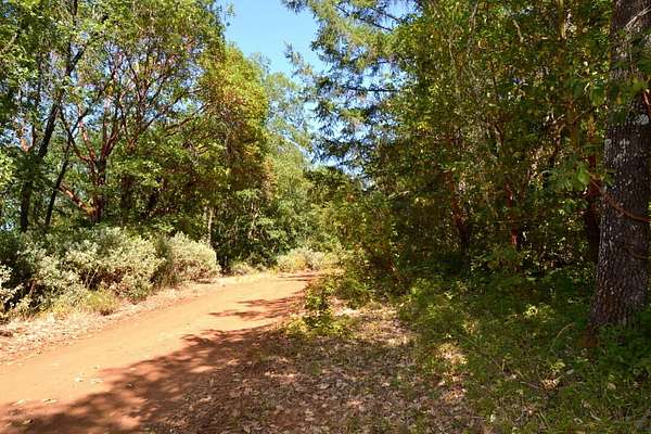 20.7 Acres of Land for Sale in Grants Pass, Oregon