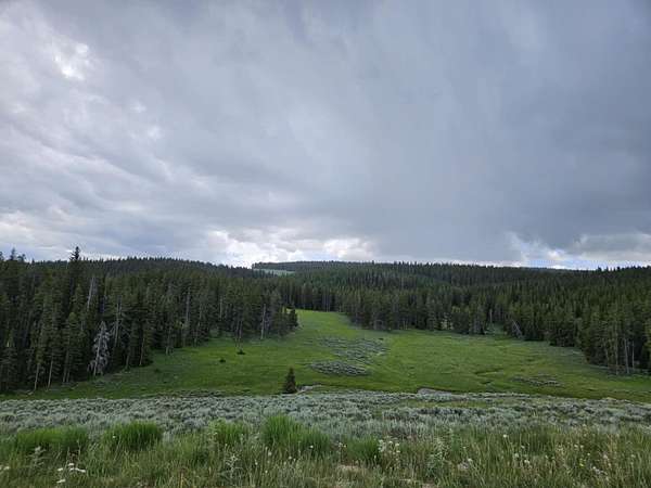 0.01 Acres of Land for Sale in Sheridan, Wyoming