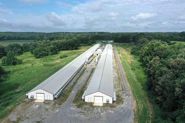 37 Acres of Agricultural Land for Sale in Dresden, Tennessee