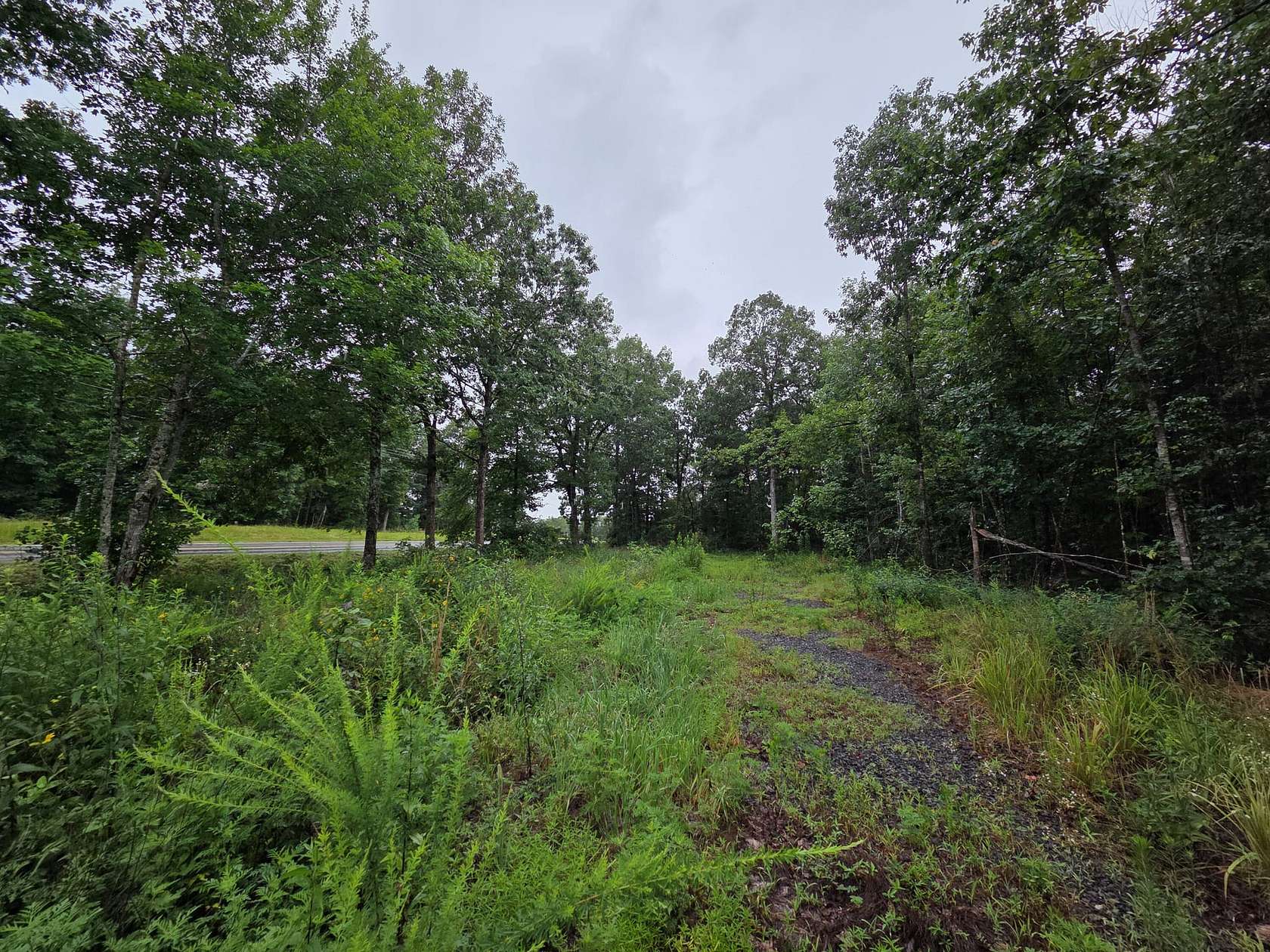 30 Acres of Recreational Land for Sale in Dennard, Arkansas