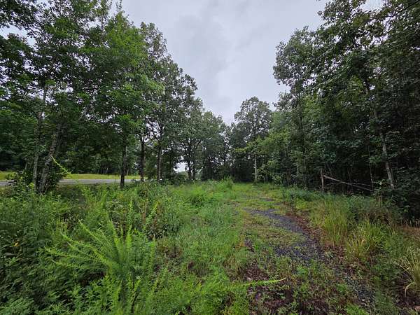 30 Acres of Recreational Land for Sale in Dennard, Arkansas