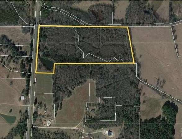40 Acres of Recreational Land for Sale in Gilmer, Texas