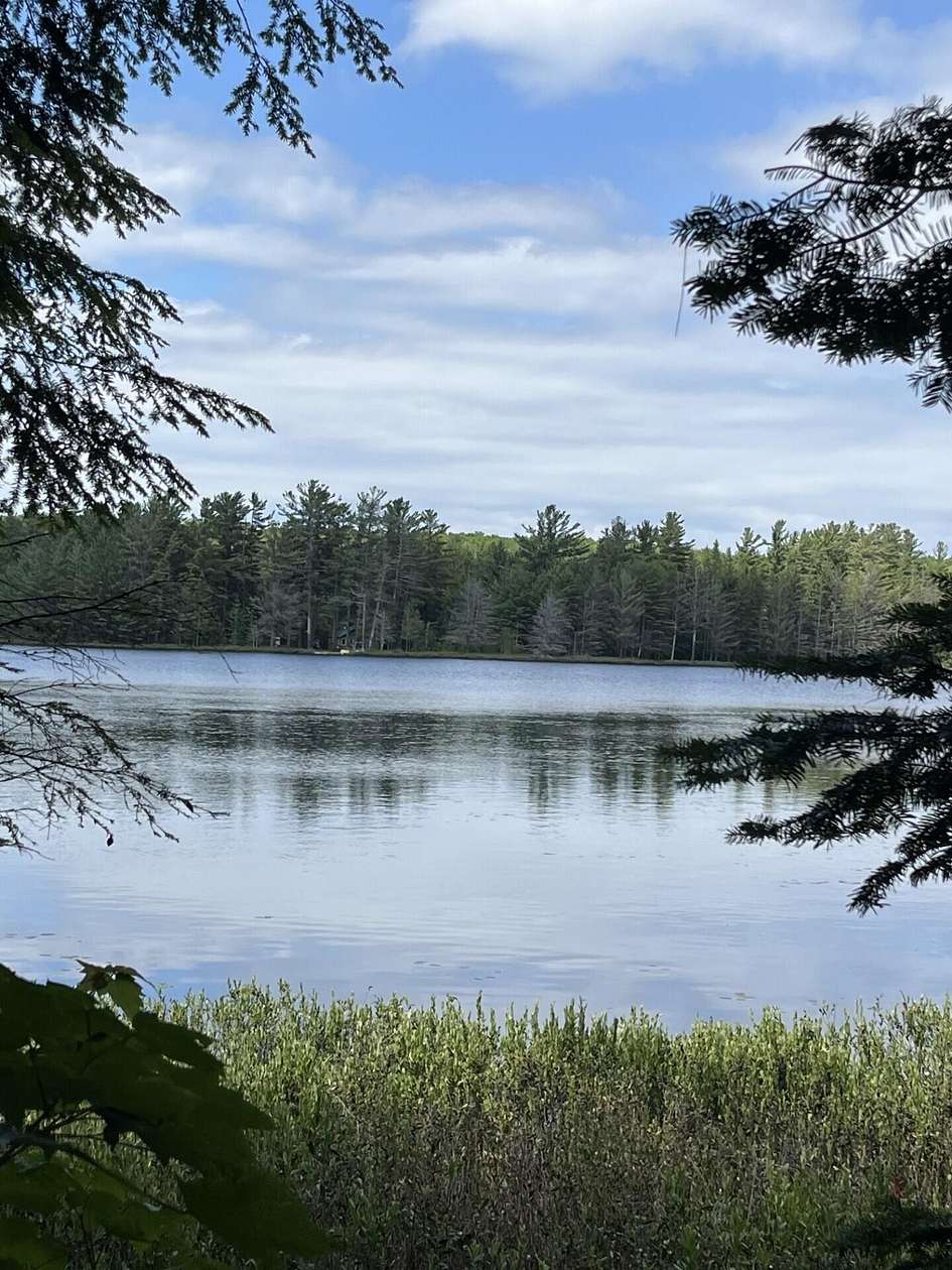 10 Acres of Land for Sale in Newberry, Michigan