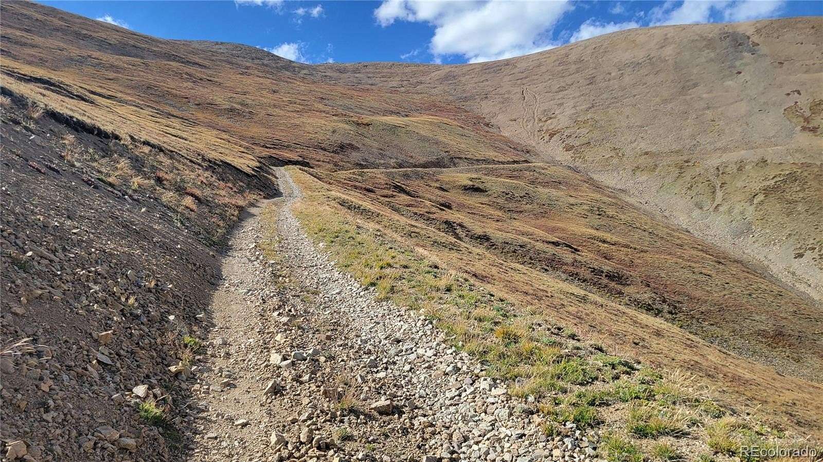 31 Acres of Recreational Land for Sale in Alma, Colorado