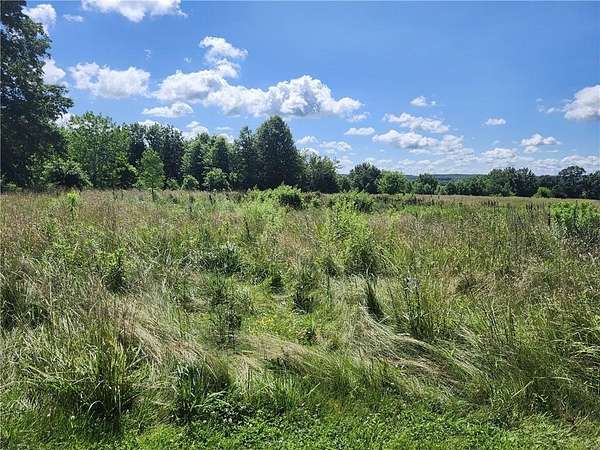 14.5 Acres of Agricultural Land for Sale in Newtown, Missouri