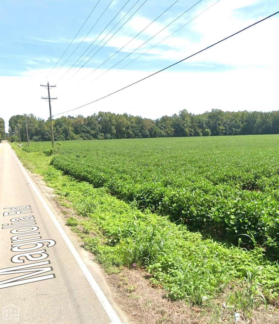 75 Acres of Agricultural Land for Sale in Jonesboro, Arkansas