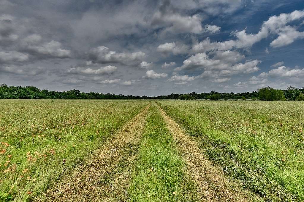 20.2 Acres of Land for Sale in Navasota, Texas