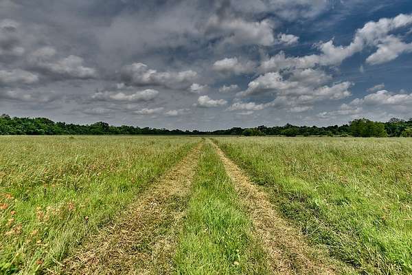 20.2 Acres of Land for Sale in Navasota, Texas
