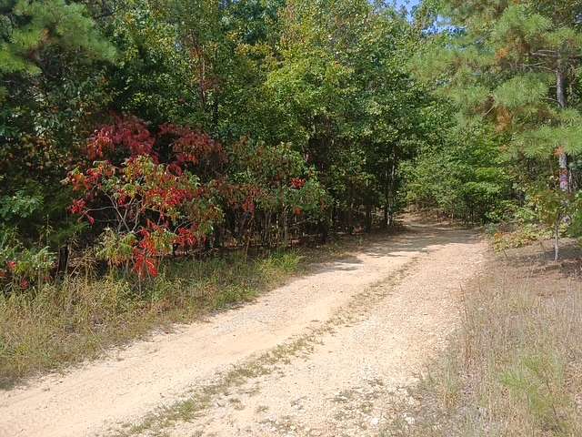 16.8 Acres of Land for Sale in Eminence, Missouri