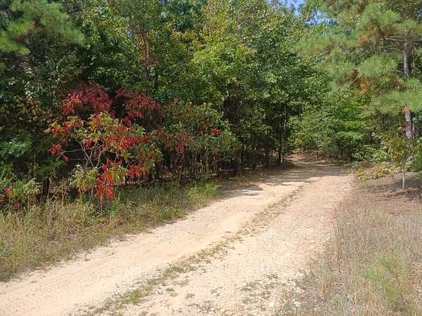 16.8 Acres of Land for Sale in Eminence, Missouri