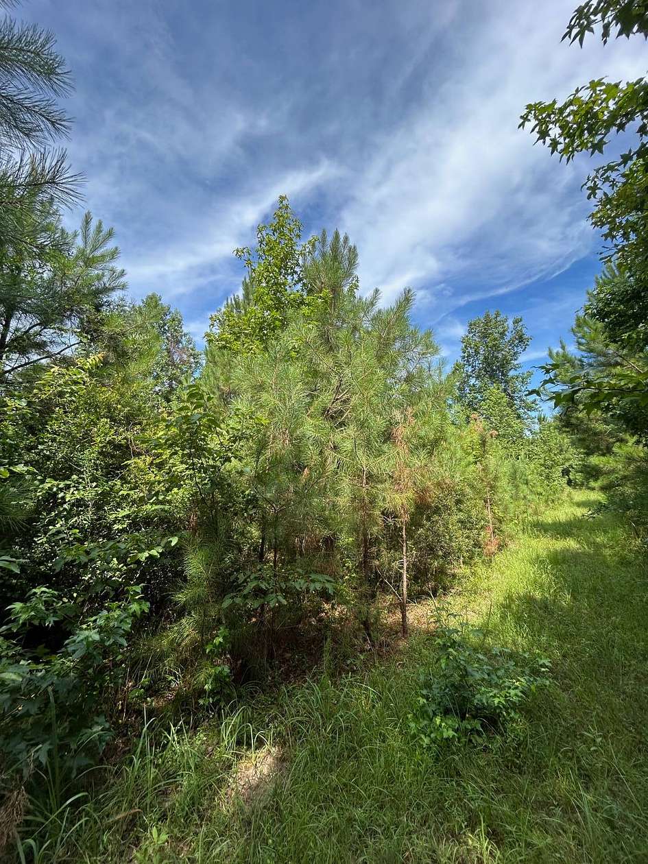 5 Acres of Residential Land for Sale in Stephens, Arkansas