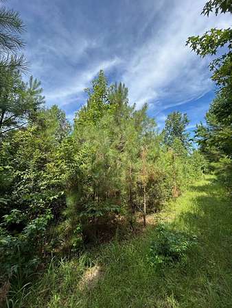 5 Acres of Residential Land for Sale in Stephens, Arkansas