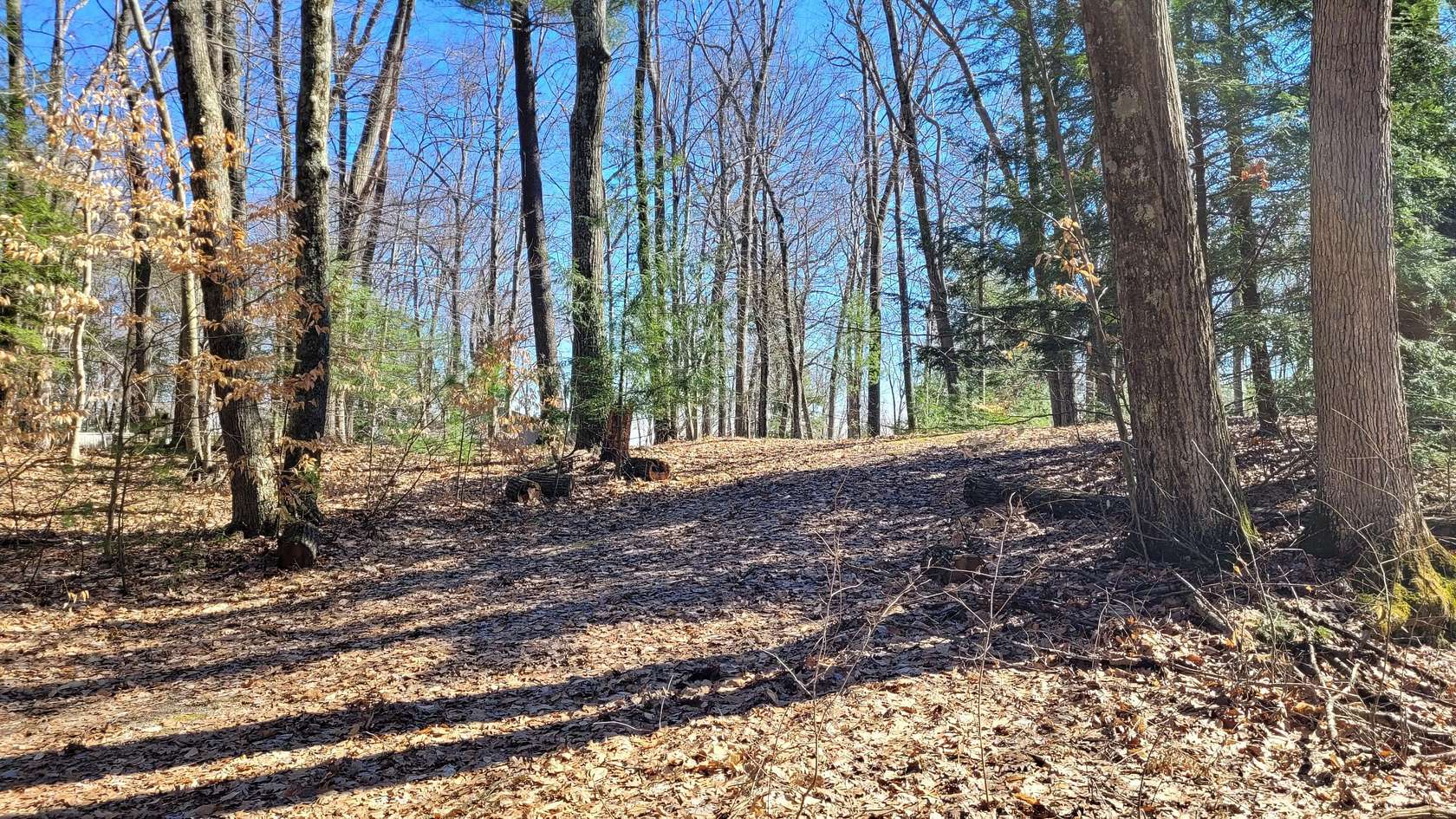 0.34 Acres of Land for Sale in White Cloud, Michigan