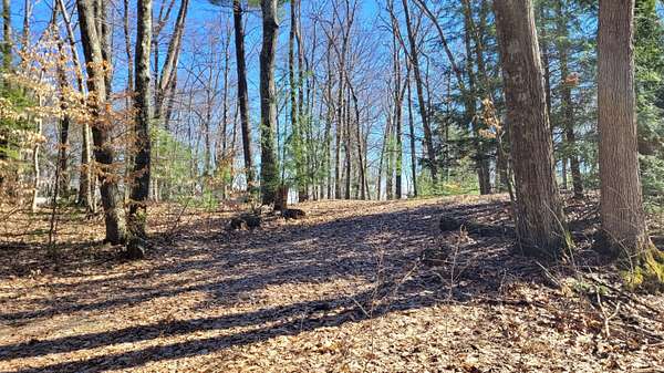 0.34 Acres of Land for Sale in White Cloud, Michigan