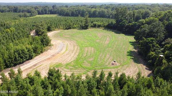 126 Acres of Recreational Land for Sale in Lizella, Georgia
