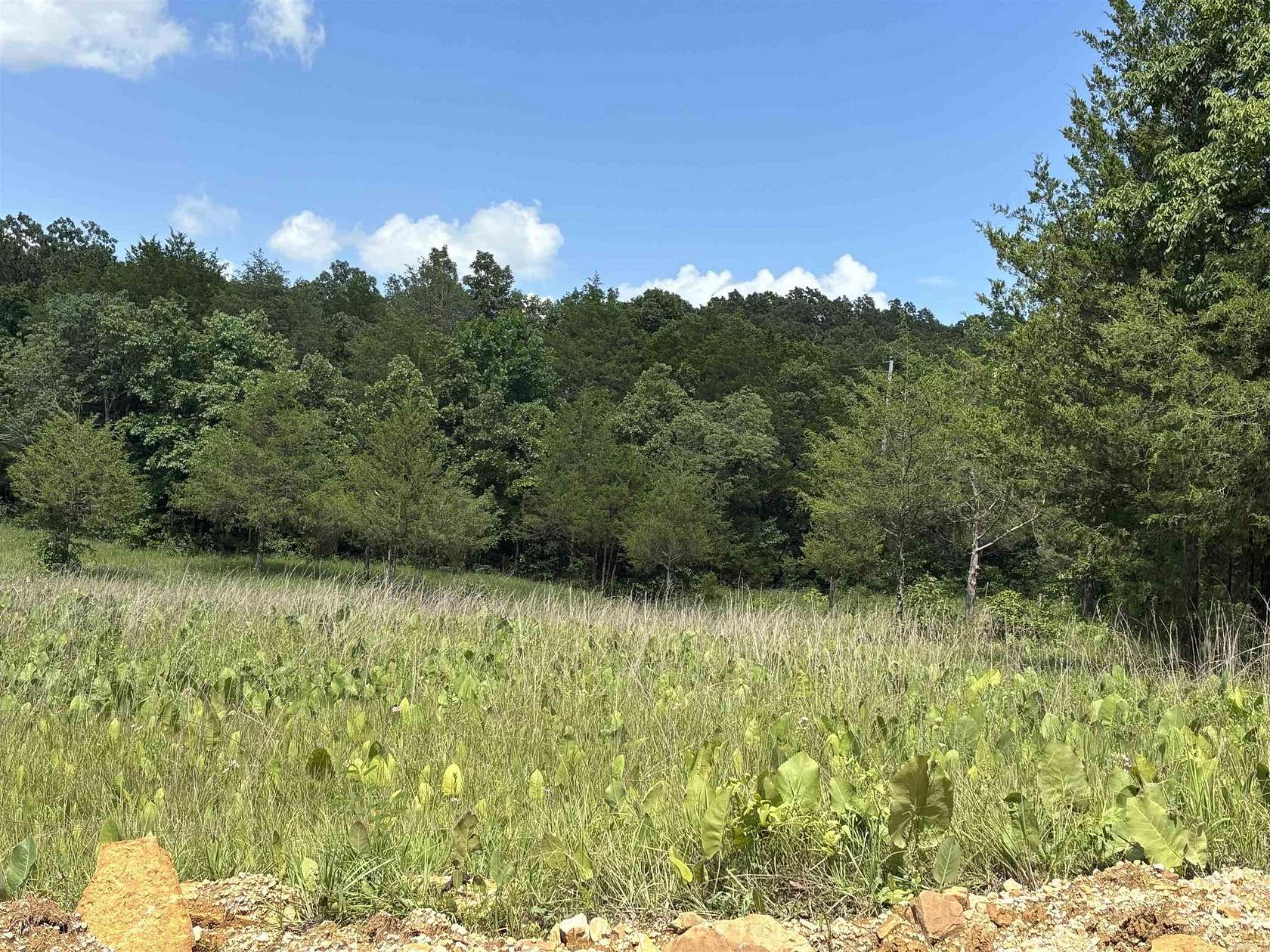 4 Acres of Residential Land for Sale in Evening Shade, Arkansas