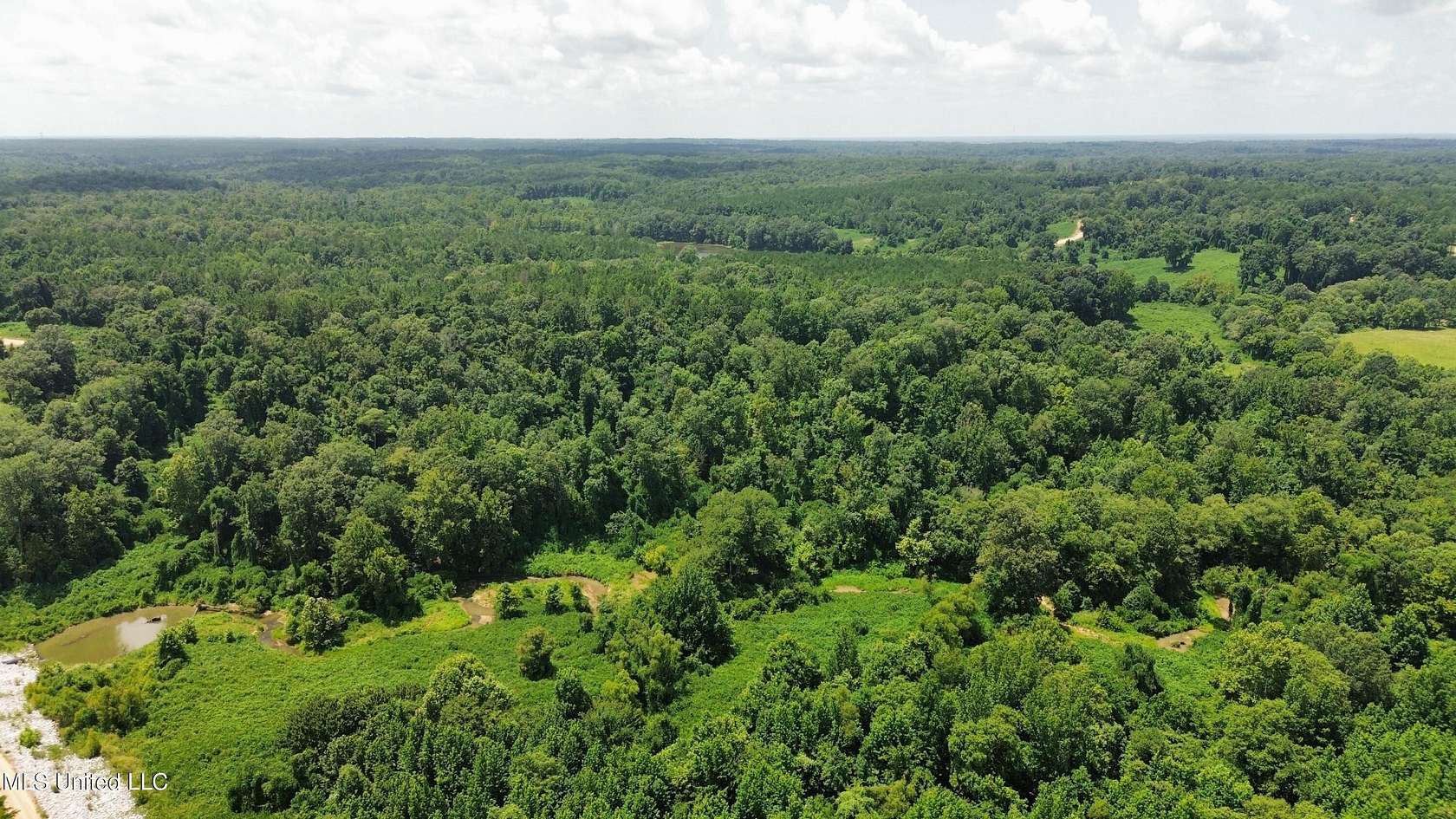 64.7 Acres of Recreational Land for Sale in Cascilla, Mississippi
