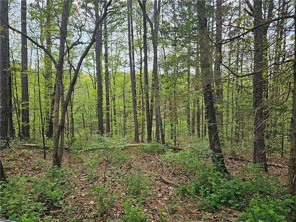 0.36 Acres of Residential Land for Sale in Bella Vista, Arkansas
