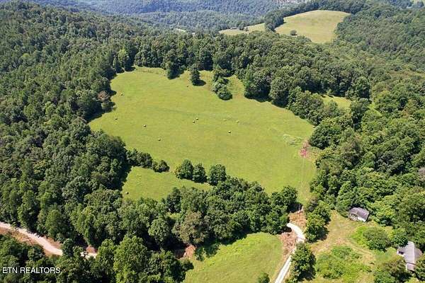 42 Acres of Land for Sale in Tazewell, Tennessee