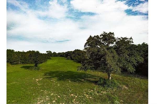 53.8 Acres of Land for Sale in Milano, Texas