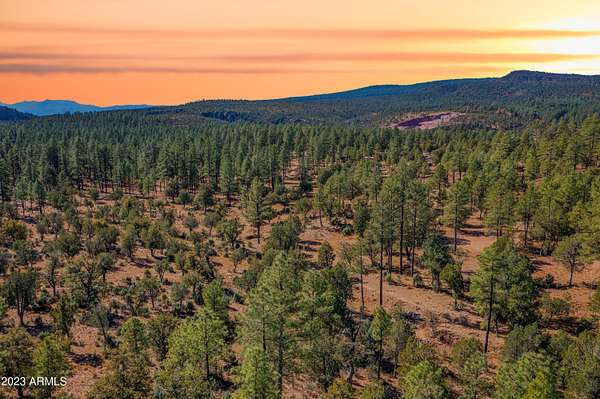 1 Acre of Residential Land for Sale in Pine, Arizona