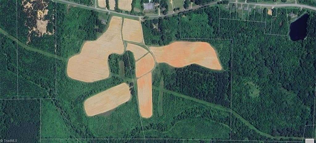 98 Acres of Land for Sale in Pleasant Garden, North Carolina