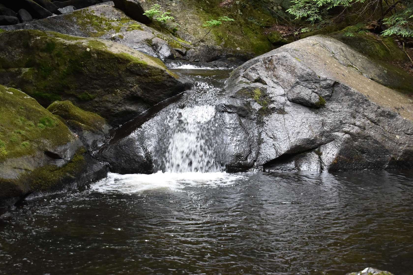 82.8 Acres of Recreational Land for Sale in Wentworth, New Hampshire