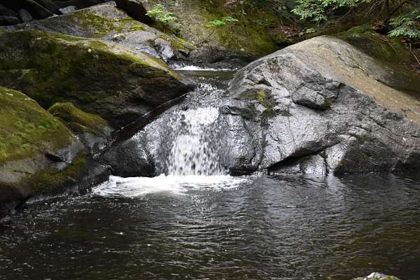 82.8 Acres of Recreational Land for Sale in Wentworth, New Hampshire