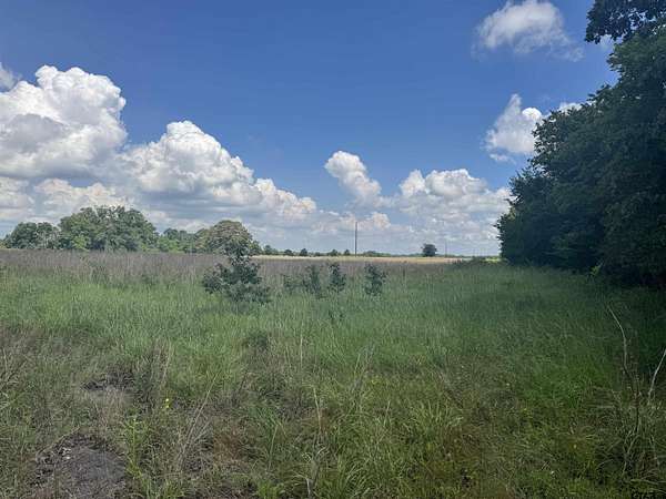 34.5 Acres of Land for Sale in Mount Pleasant, Texas