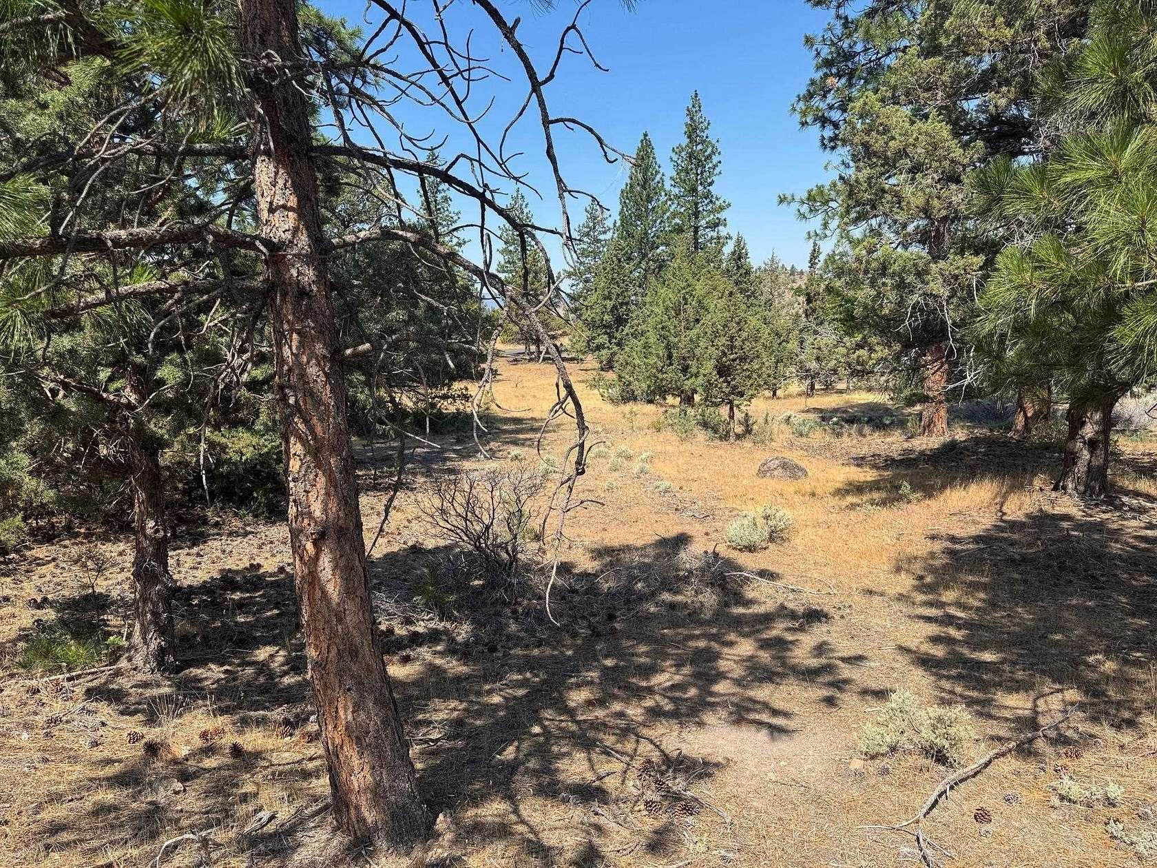 0.23 Acres of Residential Land for Sale in Weed, California